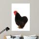 Black Cock Wall Decal