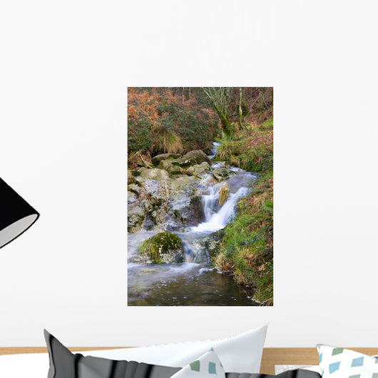 River Water Wall Mural