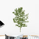 Vector Tree Nature