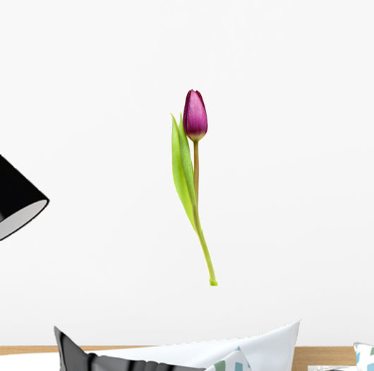 Tulip Over White Wall Decal