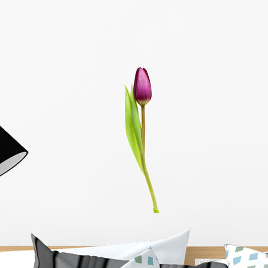 Tulip over White Wall Decal