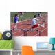 Teen Hurdler