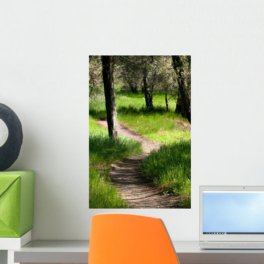 Path Woods