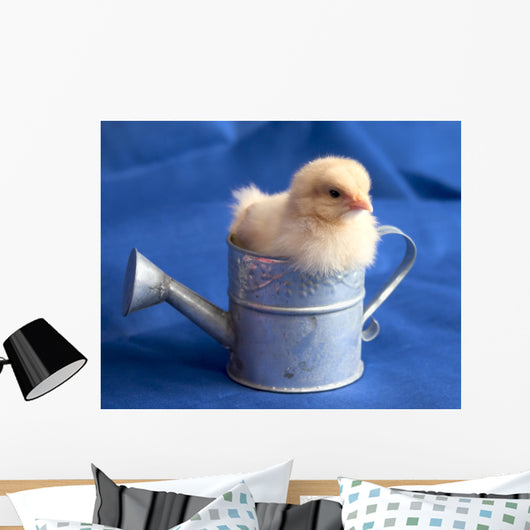 Baby Chick in Watering Can Wall Mural