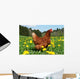 Hen