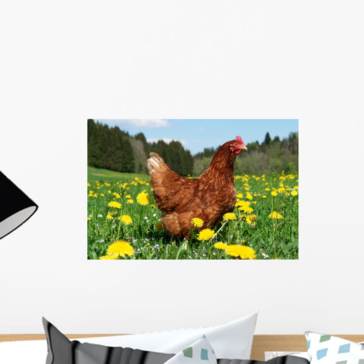 Hen