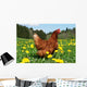 Hen