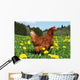 Hen