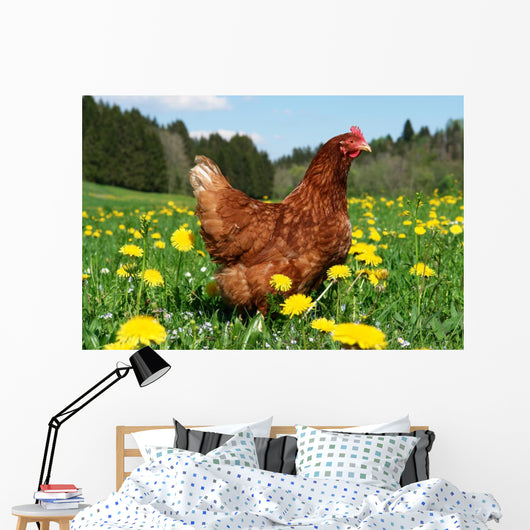 Hen