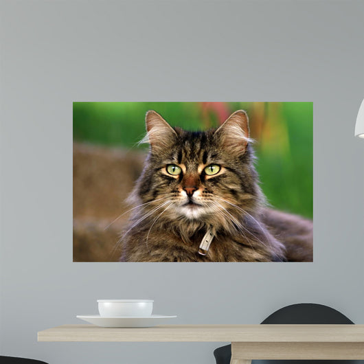 Cat Portrait Wall Decal