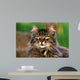 Cat Portrait Wall Decal