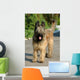 Briard Wall Mural