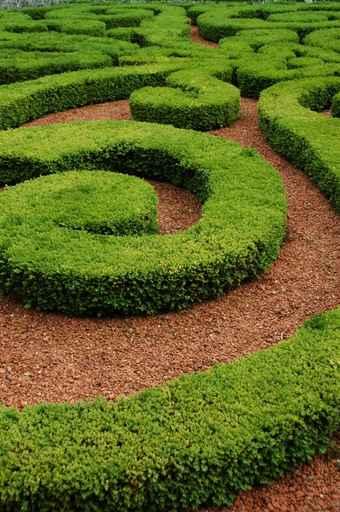 Labyrinthe Vegetal Wall Decal Design 2