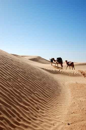 Caravan Wall Decal Design 1