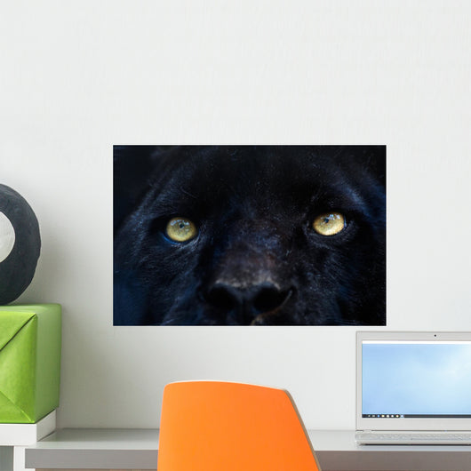 Black Panther Wall Mural