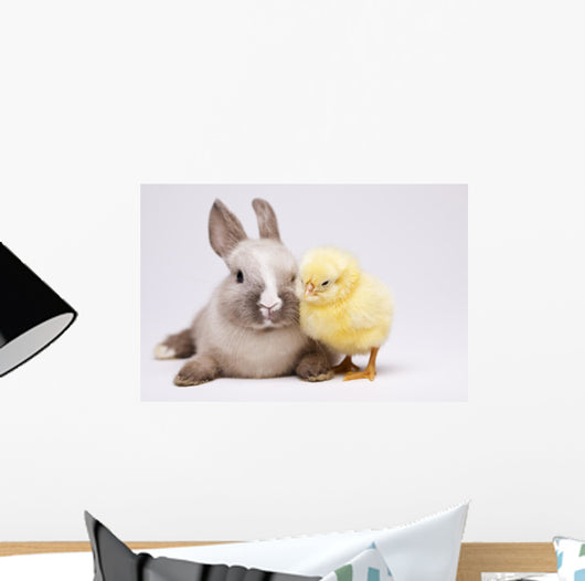 Happy Easter Animal Chick