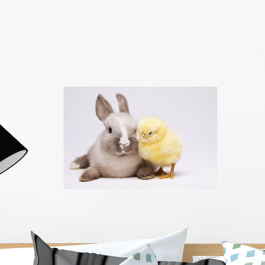 Happy Easter Animal Chick