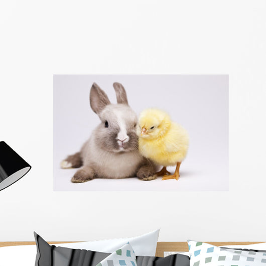 Happy Easter Animal Chick