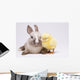 Happy Easter Animal Chick
