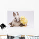 Happy Easter Animal Chick