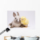 Happy Easter Animal Chick