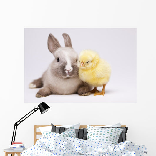 Happy Easter Animal Chick