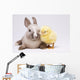 Happy Easter Animal Chick