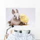 Happy Easter Animal Chick