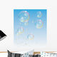 Transparent Bubbles Vector Backdrop