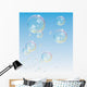 Transparent Bubbles Vector Backdrop