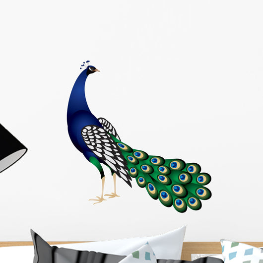Peacock Vector
