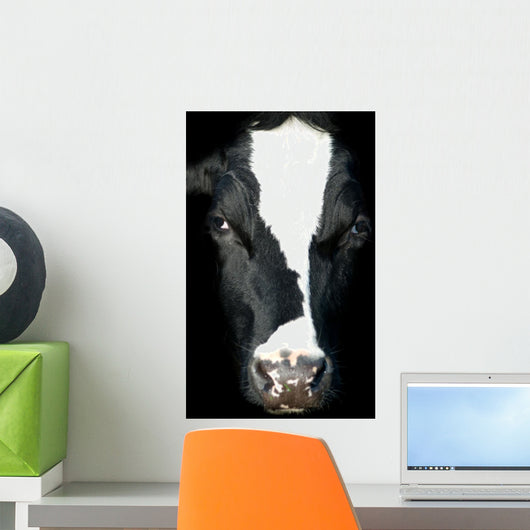 Portrait Cow