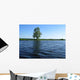 Lone Tree Wall Decal