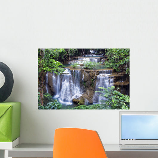 Waterfall Forest