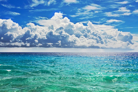 Sea
