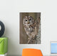 Tawny Owl Hollow Tree