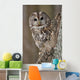 Tawny Owl Hollow Tree