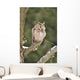 Long-eared Owl Sitting Branch Wall Mural