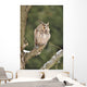 Long-eared Owl Sitting Branch Wall Mural
