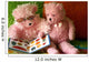 Read to Me