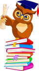 Wise Owl with Graduation