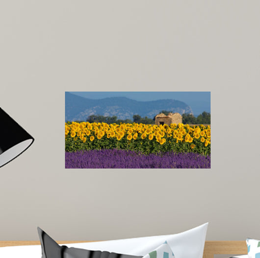 Lavender and sunflower setting in Provence, France Wall Mural