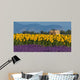 Lavender and sunflower setting in Provence, France Wall Mural