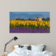 Lavender and sunflower setting in Provence, France Wall Mural