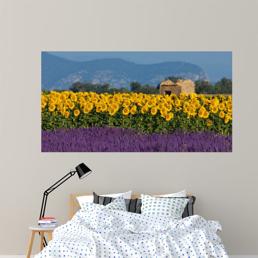 Lavender and sunflower setting in Provence, France Wall Mural