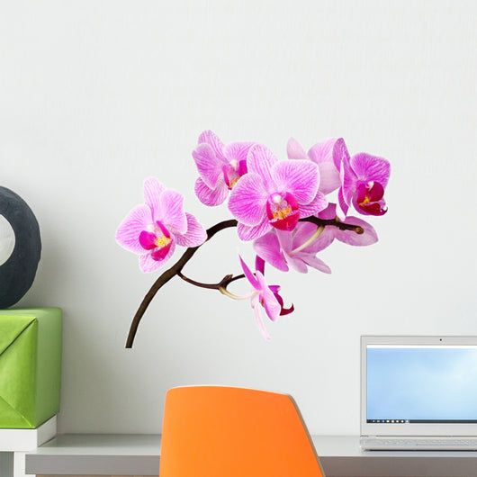 Isolated Orchid Wall Decal