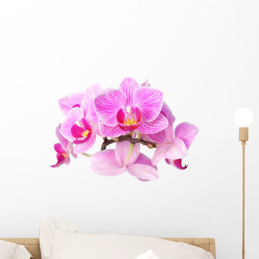 Pink Orchids Wall Decal