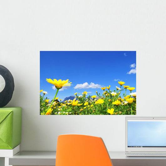 Flower Meadow