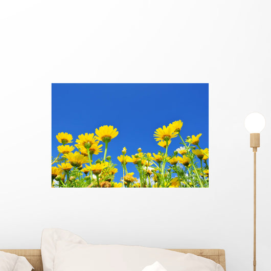Flower Meadow