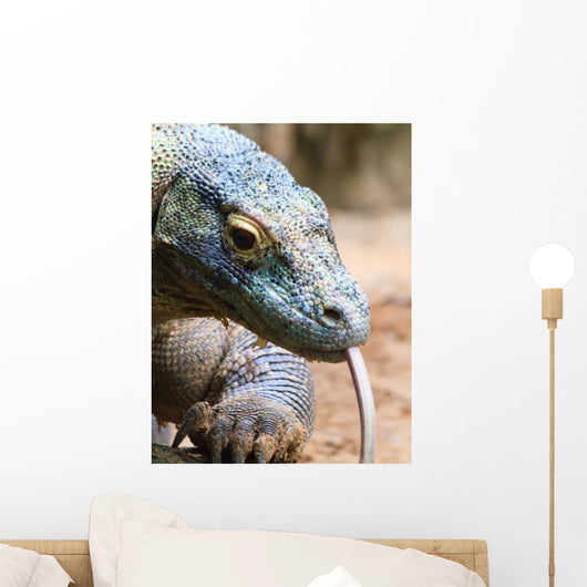 Colorful Komodo Wall Mural